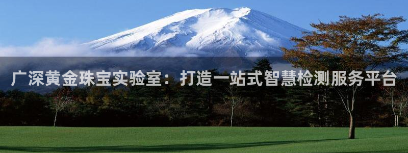 新宝5娱乐招商：广深黄金珠宝实验室：打造一站式智慧检测服务平台