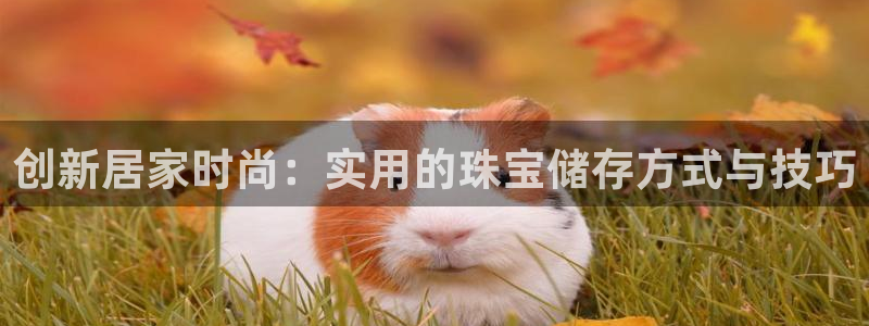 5新宝：创新居家时尚：实用的珠宝储存方式与技巧