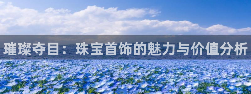 新宝h2O5O5O：璀璨夺目：珠宝首饰的魅力与价值分析