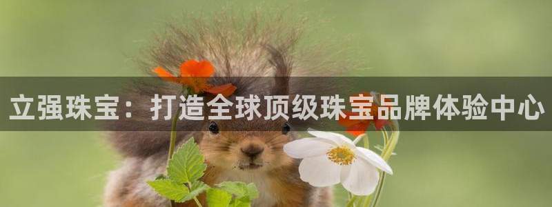 新宝5开好：立强珠宝：打造全球顶级珠宝品牌体验中心