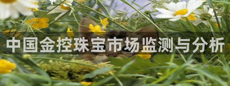 新宝5唯一：中国金控珠宝市场监测与分析