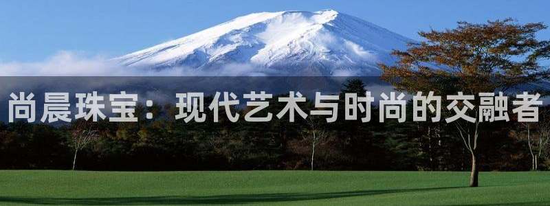 新宝5登陆：尚晨珠宝：现代艺术与时尚的交融者