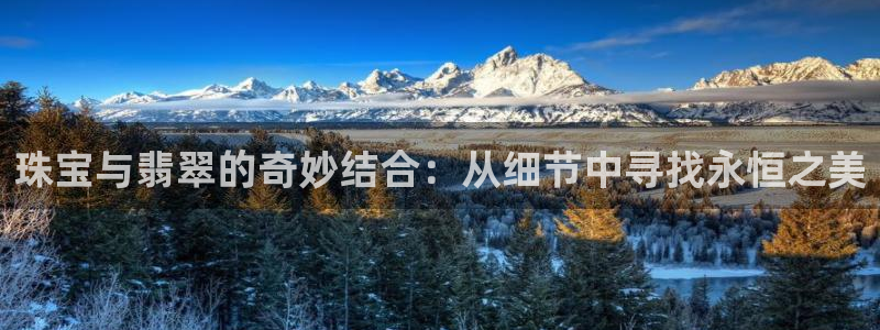 新宝5 - 测速登陆：珠宝与翡翠的奇妙结合：从细节中寻找永恒之美