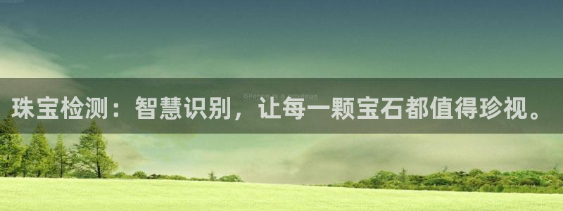 新宝5官网app：珠宝检测：智慧识别，让每一颗宝石都值得珍视。