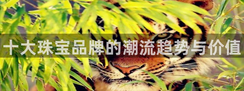 新宝5客户端登录：十大珠宝品牌的潮流趋势与价值