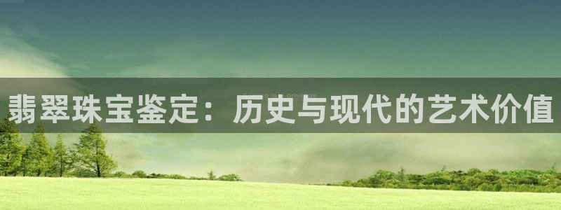 新宝rm5：翡翠珠宝鉴定：历史与现代的艺术价值