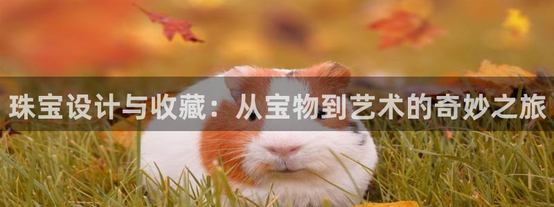 新宝5官网app：珠宝设计与收藏：从宝物到艺术的奇妙之旅