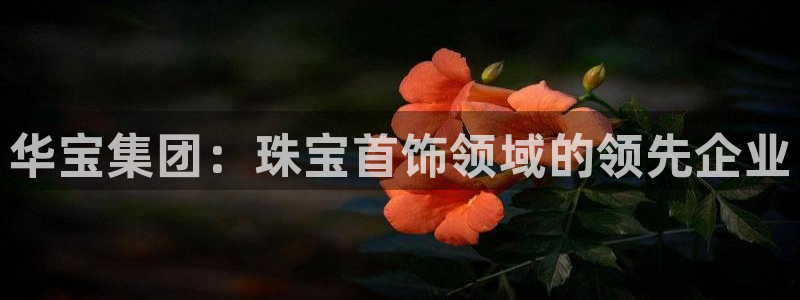 新宝5娱乐家：华宝集团：珠宝首饰领域的领先企业