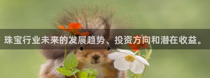 新宝5直属：珠宝行业未来的发展趋势、投资方向和潜在收益。