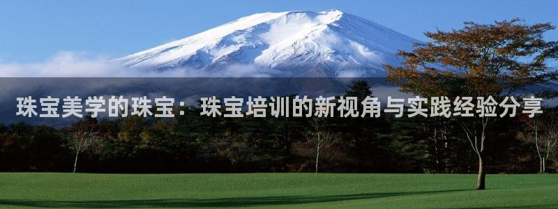 新宝5：珠宝美学的珠宝：珠宝培训的新视角与实践经验分享