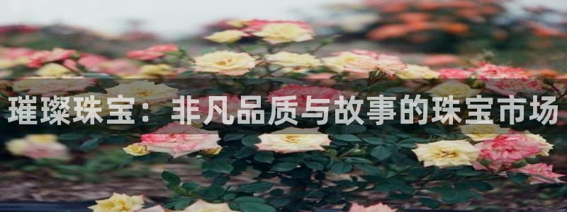 新宝5娱乐多：璀璨珠宝：非凡品质与故事的珠宝市场