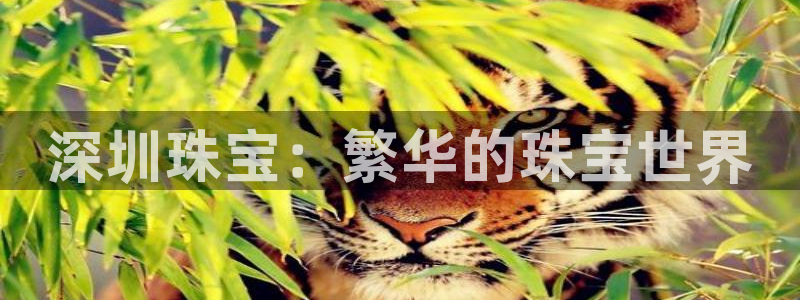 新宝5周74OOO5：深圳珠宝：繁华的珠宝世界