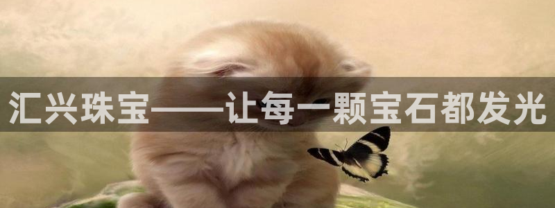 新宝h2O5O5O：汇兴珠宝——让每一颗宝石都发光