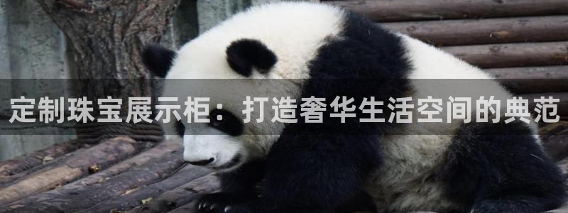 新宝骏rc5W：定制珠宝展示柜：打造奢华生活空间的典范