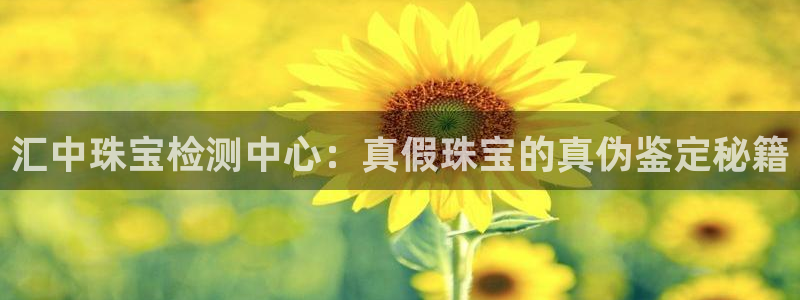 新宝5是谁的：汇中珠宝检测中心：真假珠宝的真伪鉴定秘籍