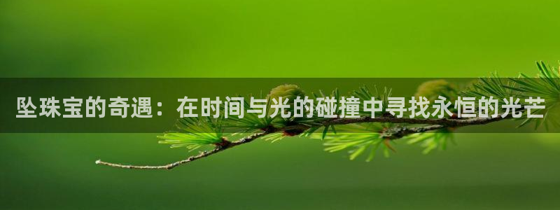 新宝5导师：坠珠宝的奇遇：在时间与光的碰撞中寻找永恒的光芒