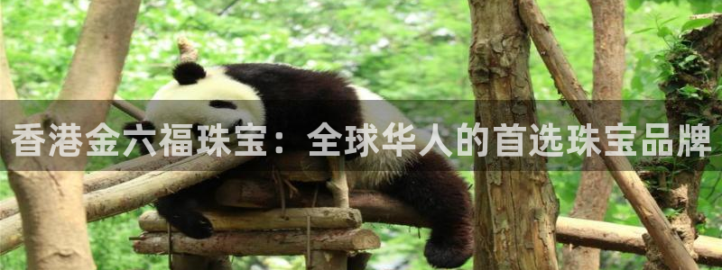 新宝5玩法：香港金六福珠宝：全球华人的首选珠宝品牌