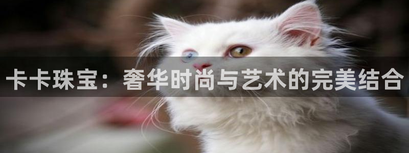 新宝5吕74OOO5：卡卡珠宝：奢华时尚与艺术的完美结合