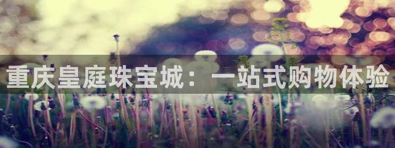 新宝gg5：重庆皇庭珠宝城：一站式购物体验