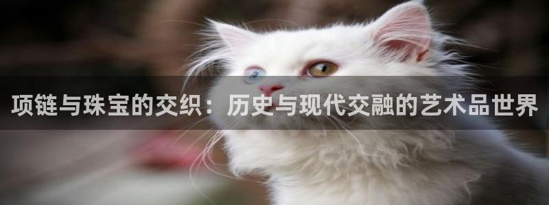 新宝rc_5w：项链与珠宝的交织：历史与现代交融的艺术品世界