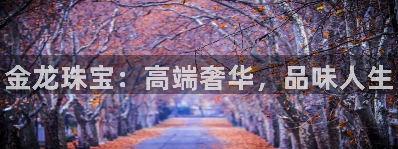 新宝m2O5O5O：金龙珠宝：高端奢华，品味人生