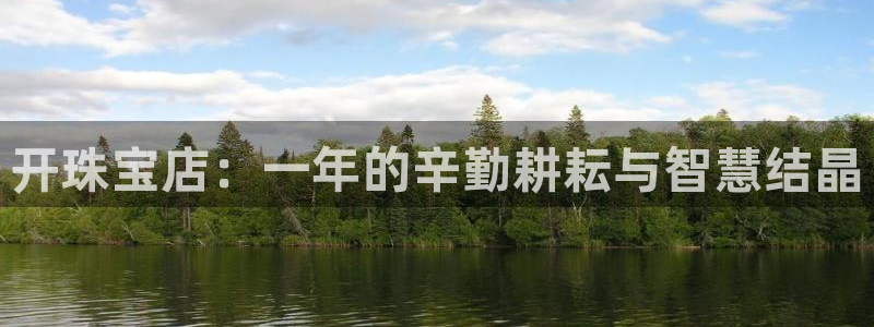新宝5注册：开珠宝店：一年的辛勤耕耘与智慧结晶