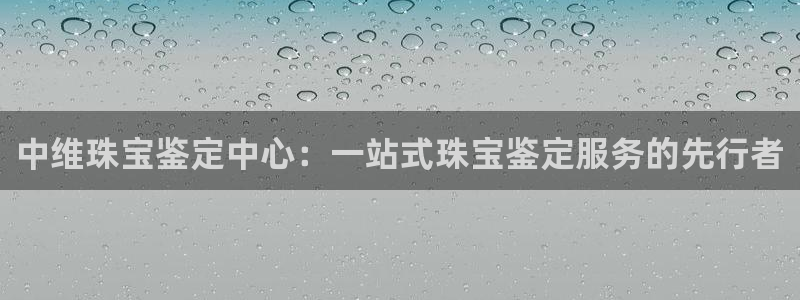 新宝股东张听2 5 5：中维珠宝鉴定中心：一站式珠宝鉴定服务的先行者