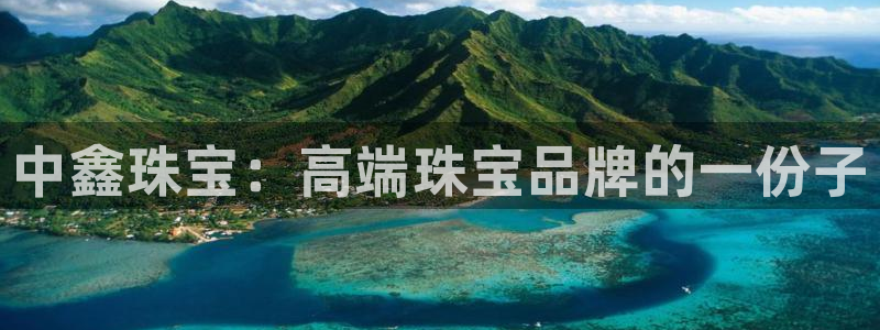 新宝股东张听2 5 5：中鑫珠宝：高端珠宝品牌的一份子