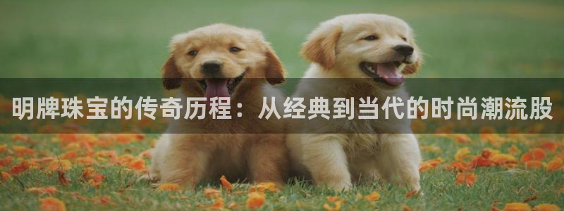 新宝股东张听2 5 5：明牌珠宝的传奇历程：从经典到当代的时尚潮流股