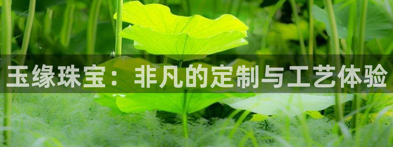 新宝5官网平台：玉缘珠宝：非凡的定制与工艺体验