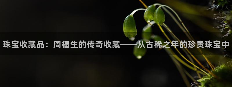 新宝5网：珠宝收藏品：周福生的传奇收藏——从古稀之年的珍贵珠宝中