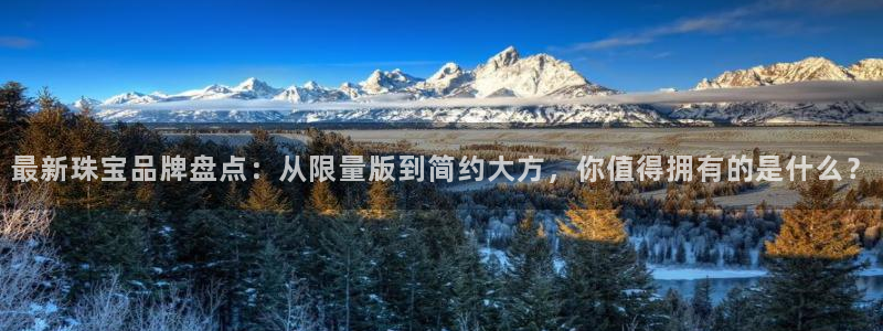 新宝5怎么代理：最新珠宝品牌盘点：从限量版到简约大方，你值得拥有的是什么？