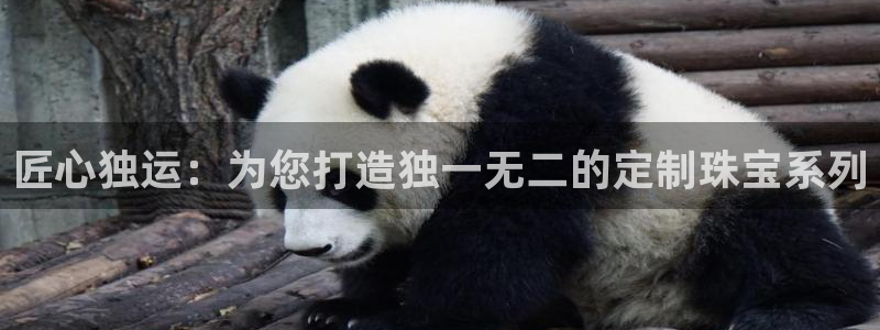 新宝5寻33 300球：匠心独运：为您打造独一无二的定制珠宝系列