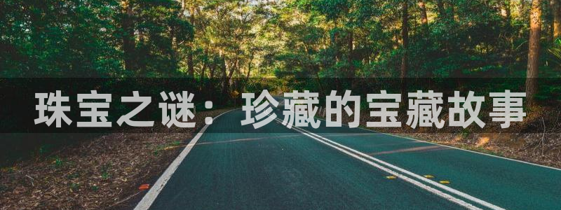 新宝5注册测速登录：珠宝之谜：珍藏的宝藏故事