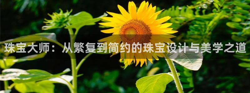 新宝5主管：珠宝大师：从繁复到简约的珠宝设计与美学之道