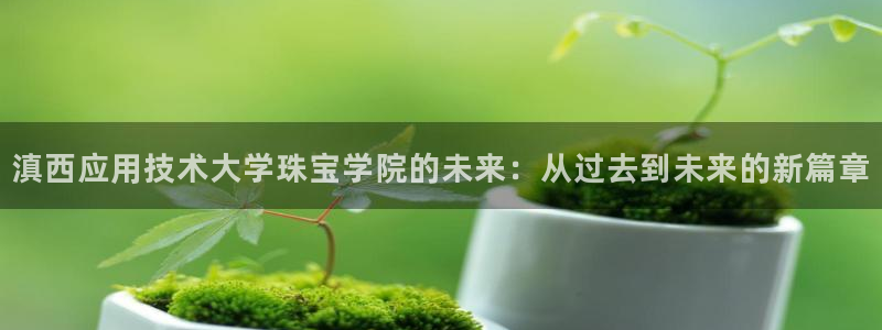 有人知道新宝5么：滇西应用技术大学珠宝学院的未来：从过去到未来的新篇章