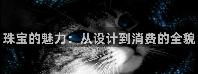 新宝h2O5O5O：珠宝的魅力：从设计到消费的全貌
