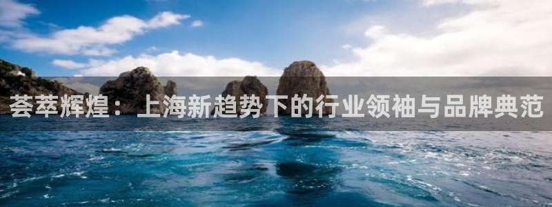 新宝5台卡：荟萃辉煌：上海新趋势下的行业领袖与品牌典范