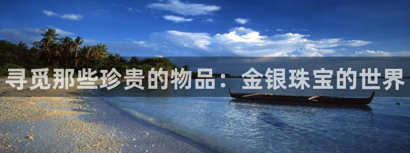 新宝5娱乐多：寻觅那些珍贵的物品：金银珠宝的世界