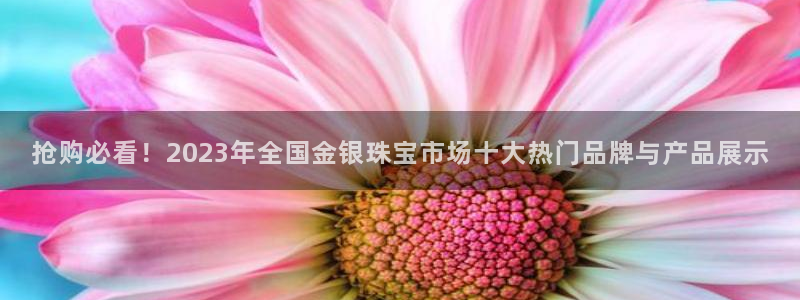新宝5平台注册资金：抢购必看！2023年全国金银珠宝市场十大热门品牌与产品展示