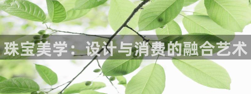 新宝m2O5O5O：珠宝美学：设计与消费的融合艺术
