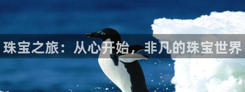 新宝5卫74OOO5：珠宝之旅：从心开始，非凡的珠宝世界