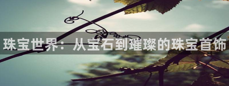 新宝5app：珠宝世界：从宝石到璀璨的珠宝首饰