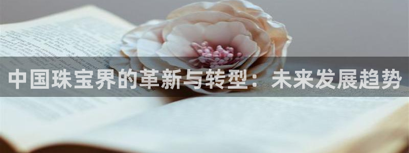 新宝5口67五壹叁八：中国珠宝界的革新与转型：未来发展趋势