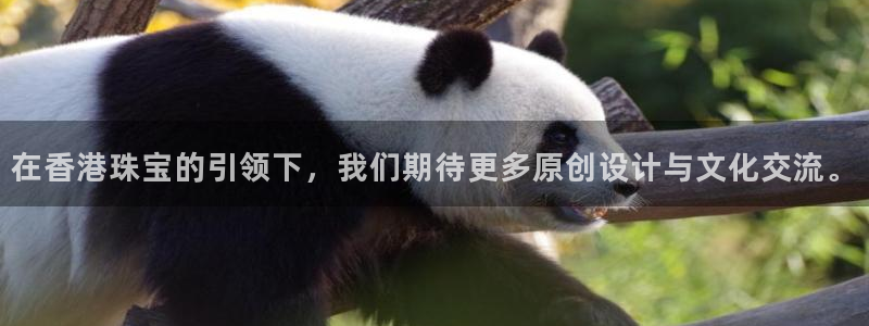 新宝5测速平台登录：在香港珠宝的引领下，我们期待更多原创设计与文化交流。