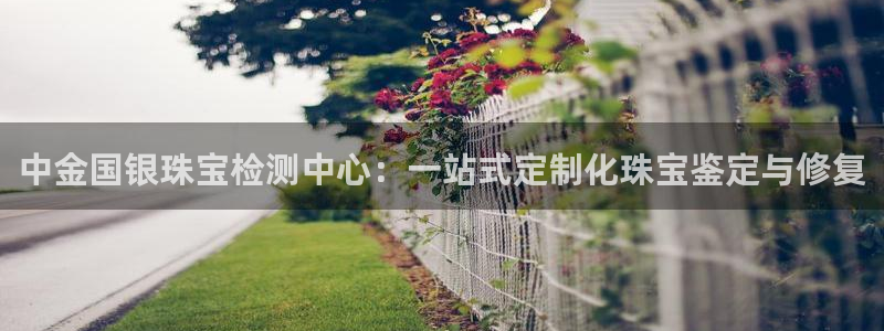 新宝gg5：中金国银珠宝检测中心：一站式定制化珠宝鉴定与修复